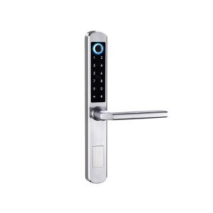 Suya Dayanıqlı Qapı Smart Çöl Kilid - TTlock - Barmaq izi - Şifrə - RFİD